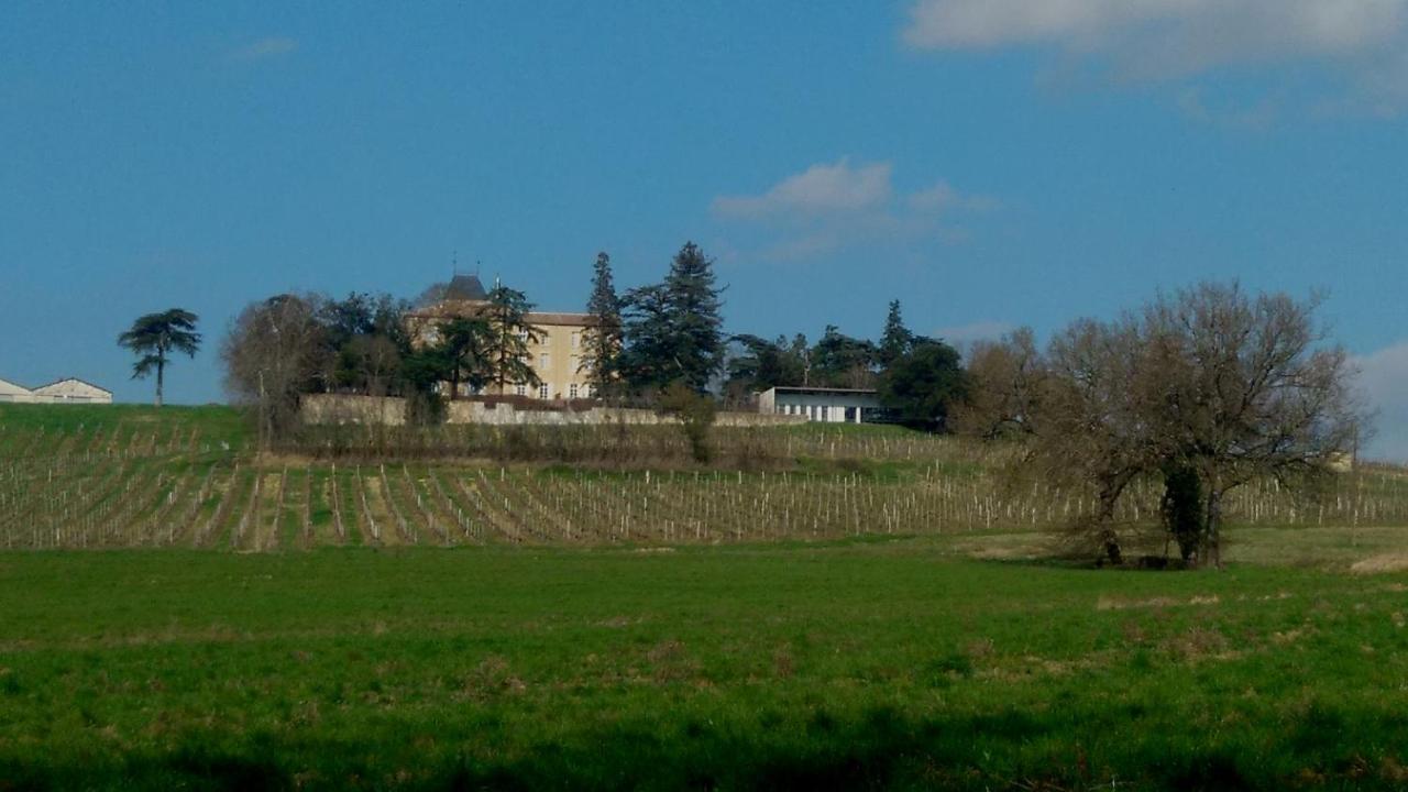 Chateau De Mons Armagnac Caussens Esterno foto