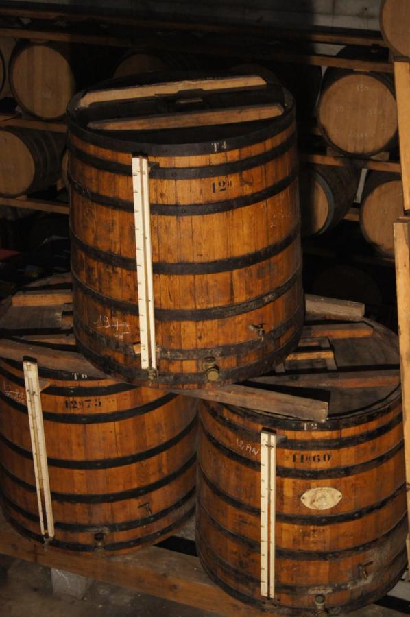 Chateau De Mons Armagnac Caussens Esterno foto
