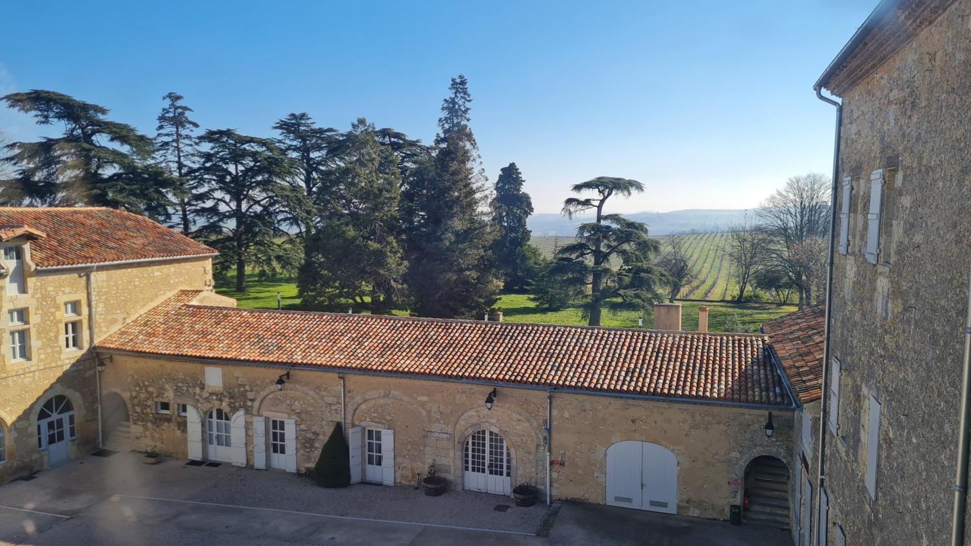Chateau De Mons Armagnac Caussens Esterno foto